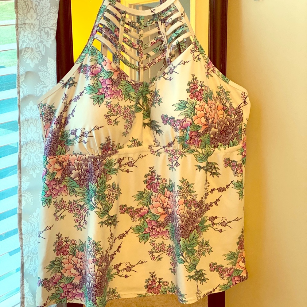 Raisins Curve Tankini